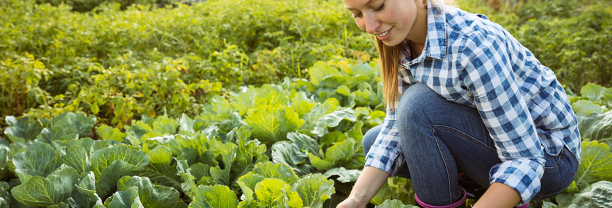 emploi en agriculture